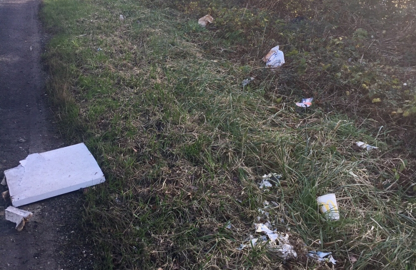 Call for urgent flytipping and litter cleanup across Conwy