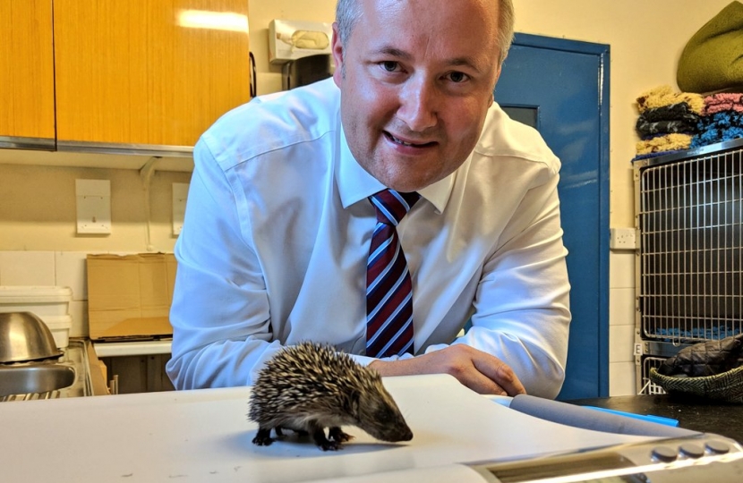 Clwyd West AM Darren Millar with rescued hedgehog Bryn.