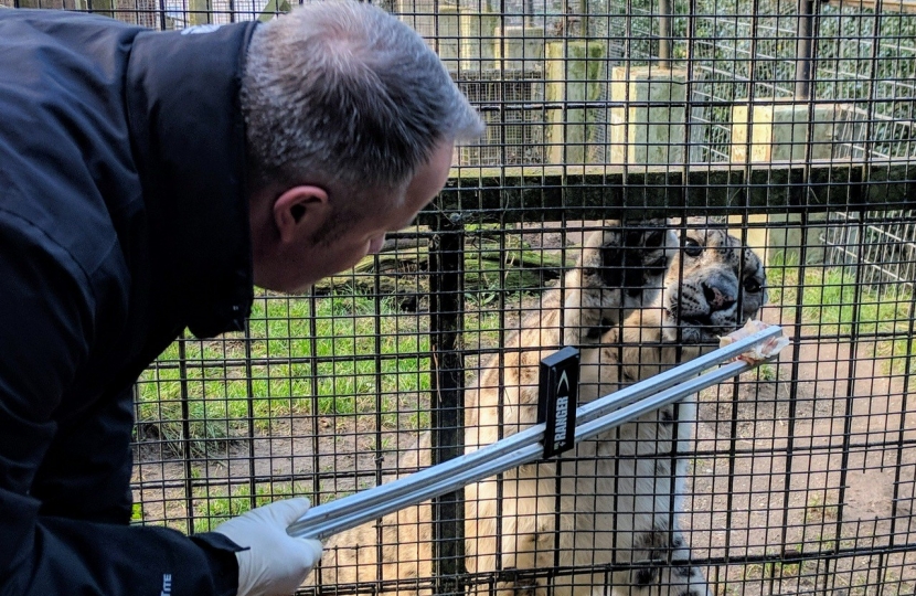 Welsh Mountain Zoo campaign victory