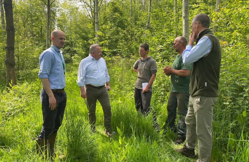 MS discusses plight of Red Squirrel during visit to local woodland