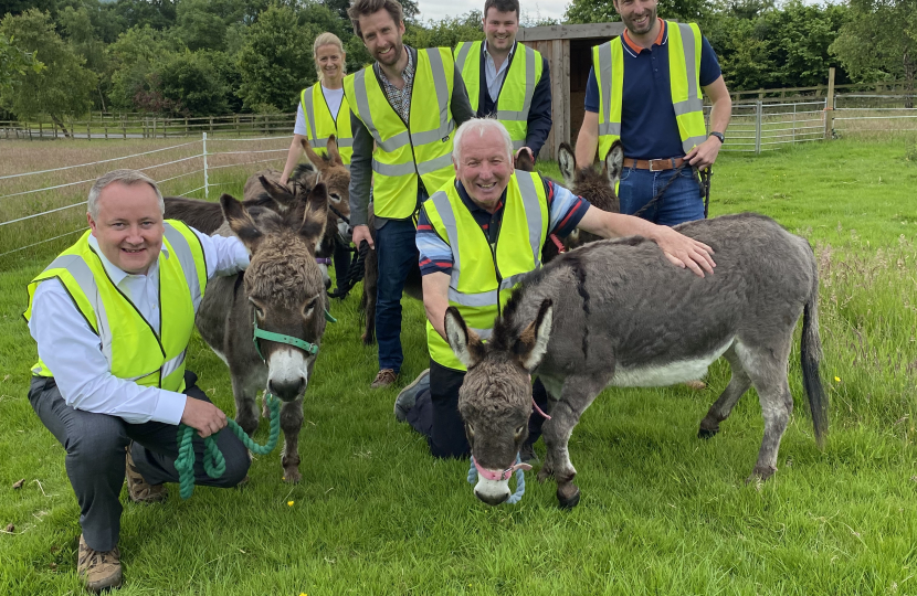 Successful Denbighshire family business offers new donkey experience 