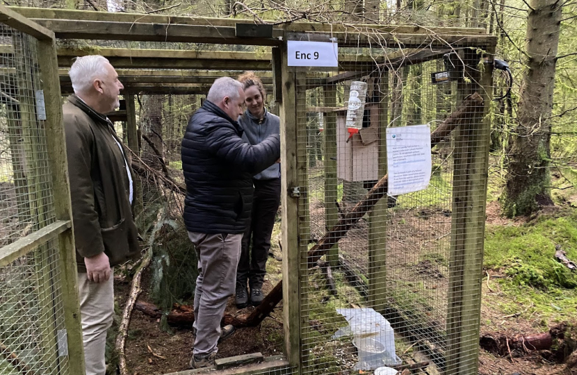 MS visits Denbighshire forest to monitor release of Red Squirrels