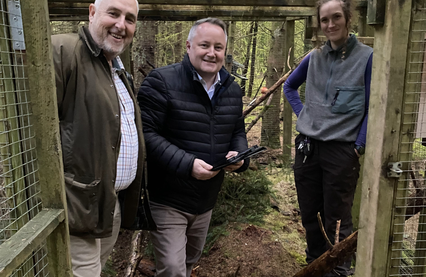 MS visits Denbighshire forest to monitor release of Red Squirrels