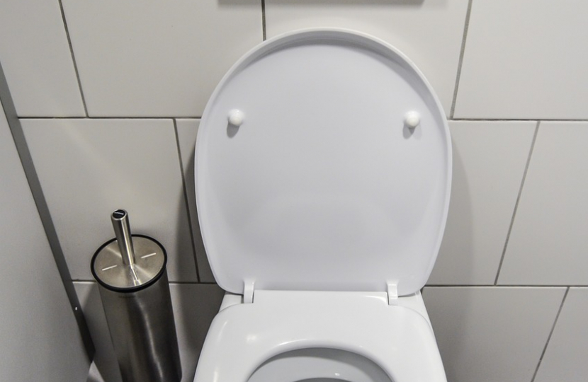 Welsh Government urged to help protect public toilets