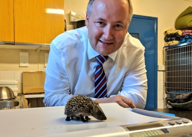 Clwyd West AM Darren Millar with rescued hedgehog Bryn.