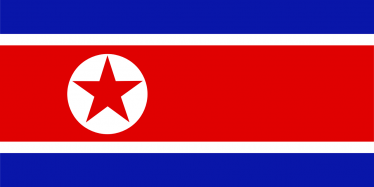 Questions raised over Senedd North Korean flag