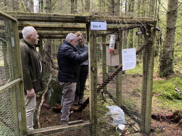 MS visits Denbighshire forest to monitor release of Red Squirrels