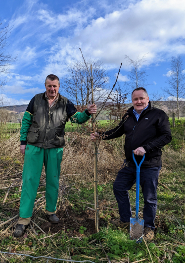 Oak tree planted in support of NFU Cymru campaign